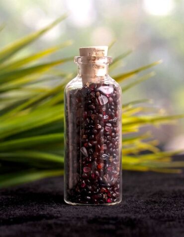 garnet chips jaar