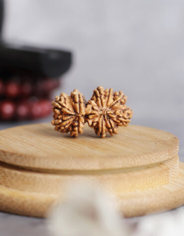 gauri shankar rudraksha