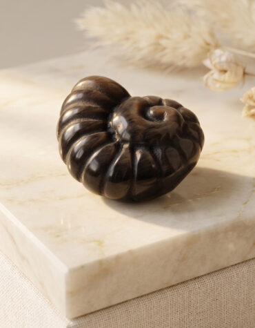 mix ammonite shell carving