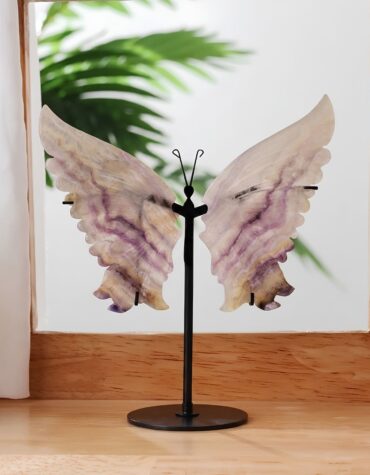 multi fluorite butterfly wing big