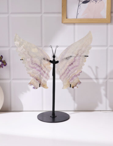 multi fluorite butterfly wing big