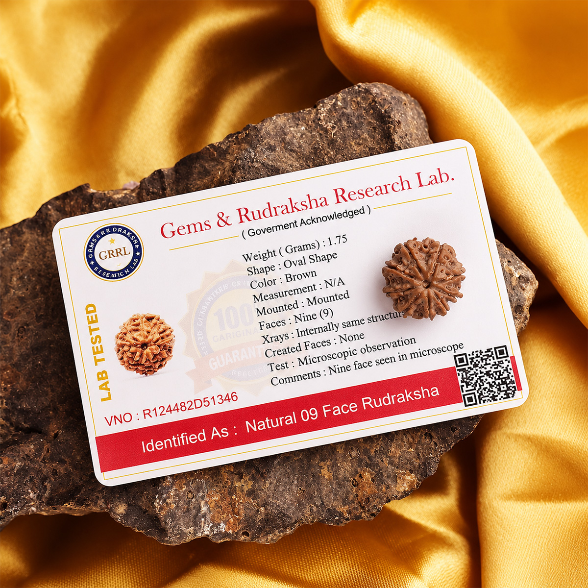 Nine Face Rudraksha (1) nine face rudraksha