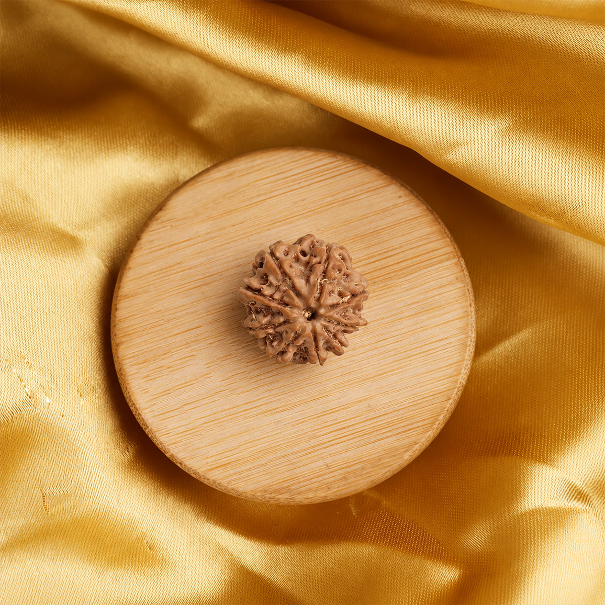 Nine Face Rudraksha (2) nine face rudraksha