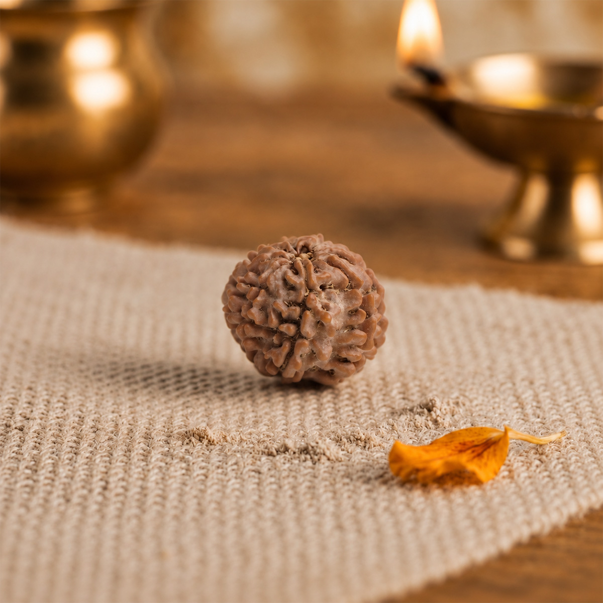 Nine Face Rudraksha (4) nine face rudraksha