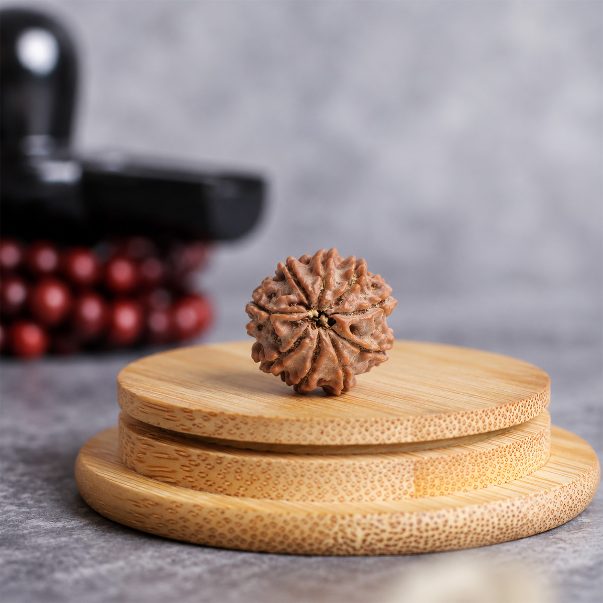 Nine Face Rudraksha (6) nine face rudraksha