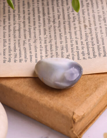 orca agate palm stone