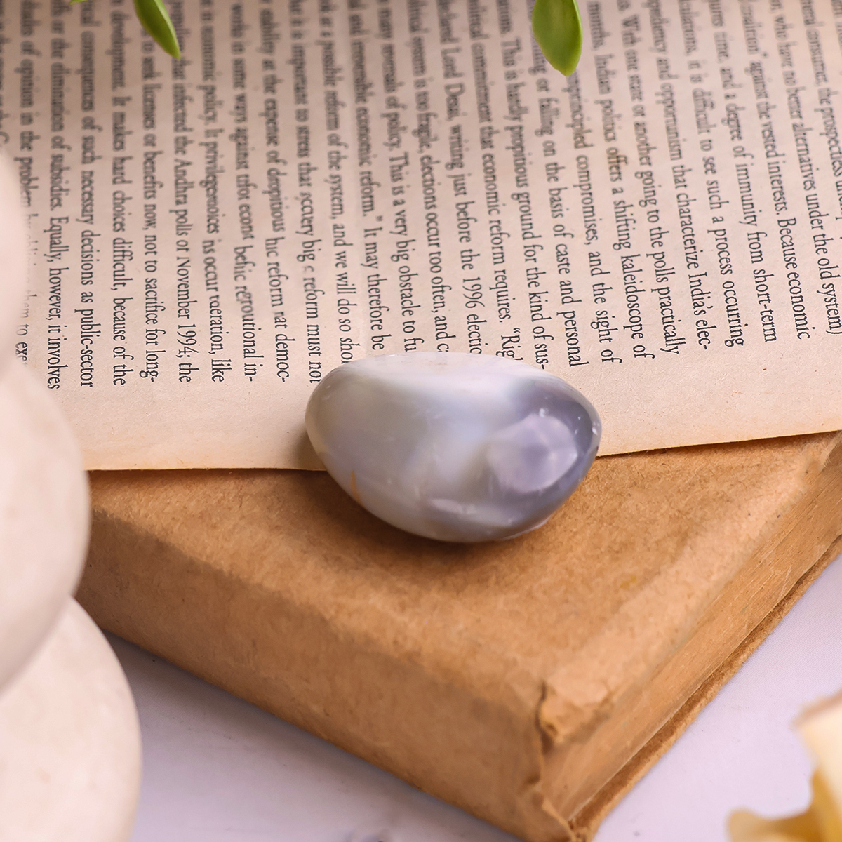 Orca Agate Palm Stone (2) orca agate palm stone