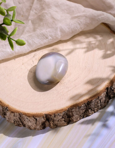orca agate palm stone