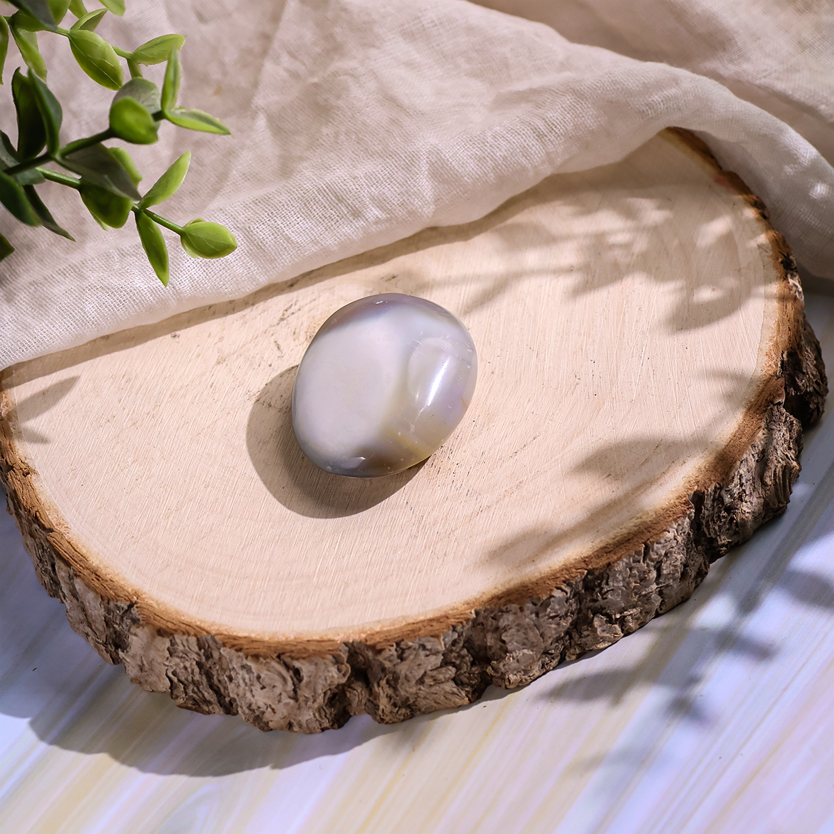 Orca Agate Palm Stone orca agate palm stone