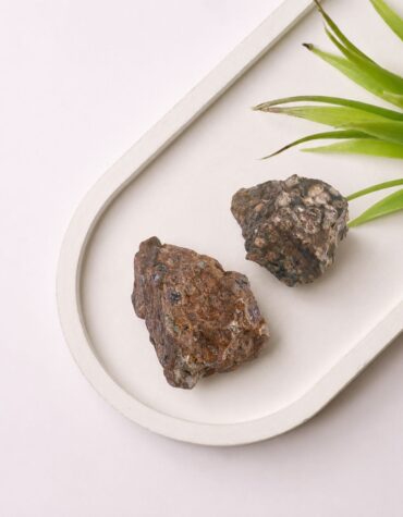 rain forest jasper raw