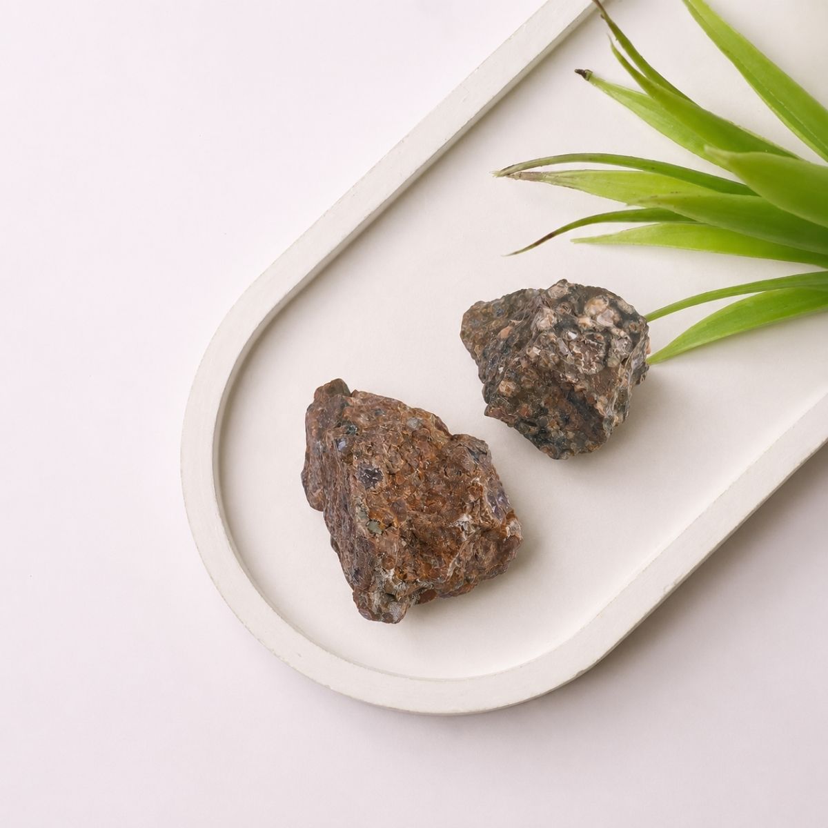 Rain Forest Jasper Raw-Shubhanjali Store (1) rain forest jasper raw