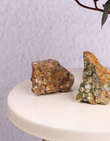 rain forest jasper raw