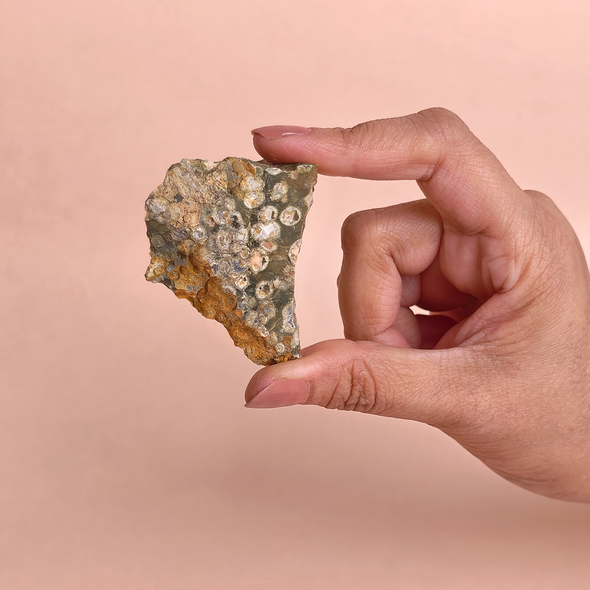 Rain Forest Jasper Raw-Shubhanjali Store (4) rain forest jasper raw