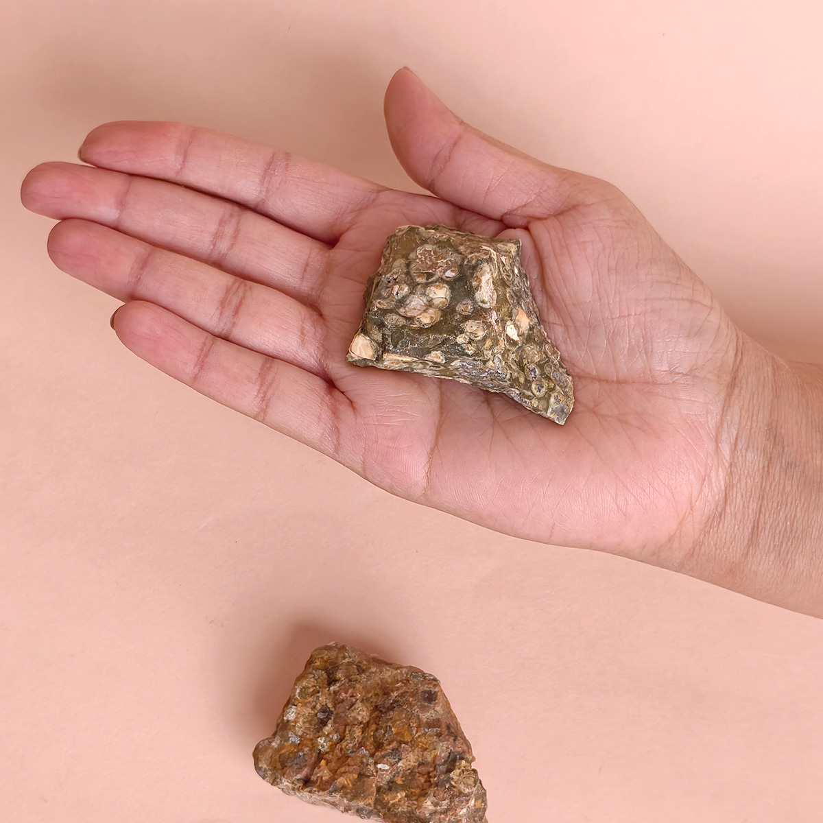 Rain Forest Jasper Raw-Shubhanjali Store (5) rain forest jasper raw