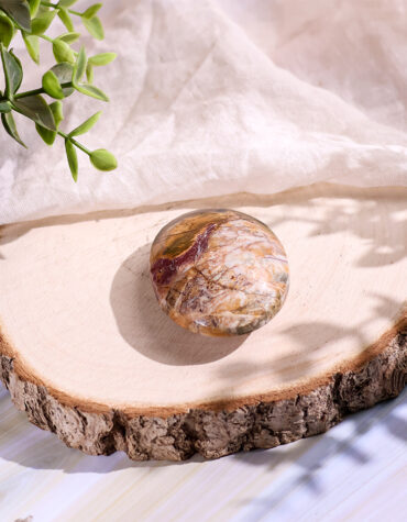 red creek jasper plam stone