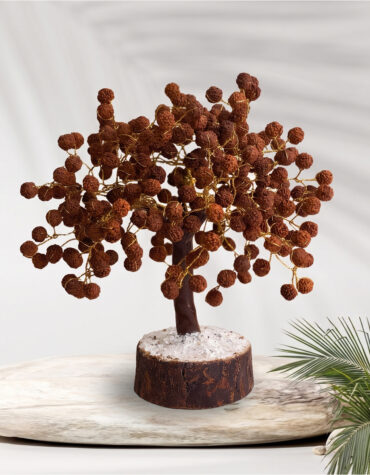 rudraksh tree 300b mseal