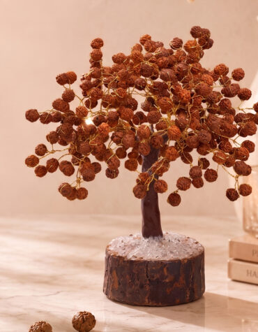 rudraksh tree 300b mseal