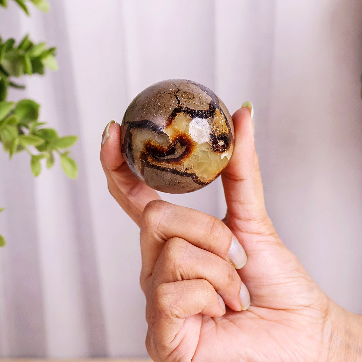 Septarian Ball (3) septarian sphere
