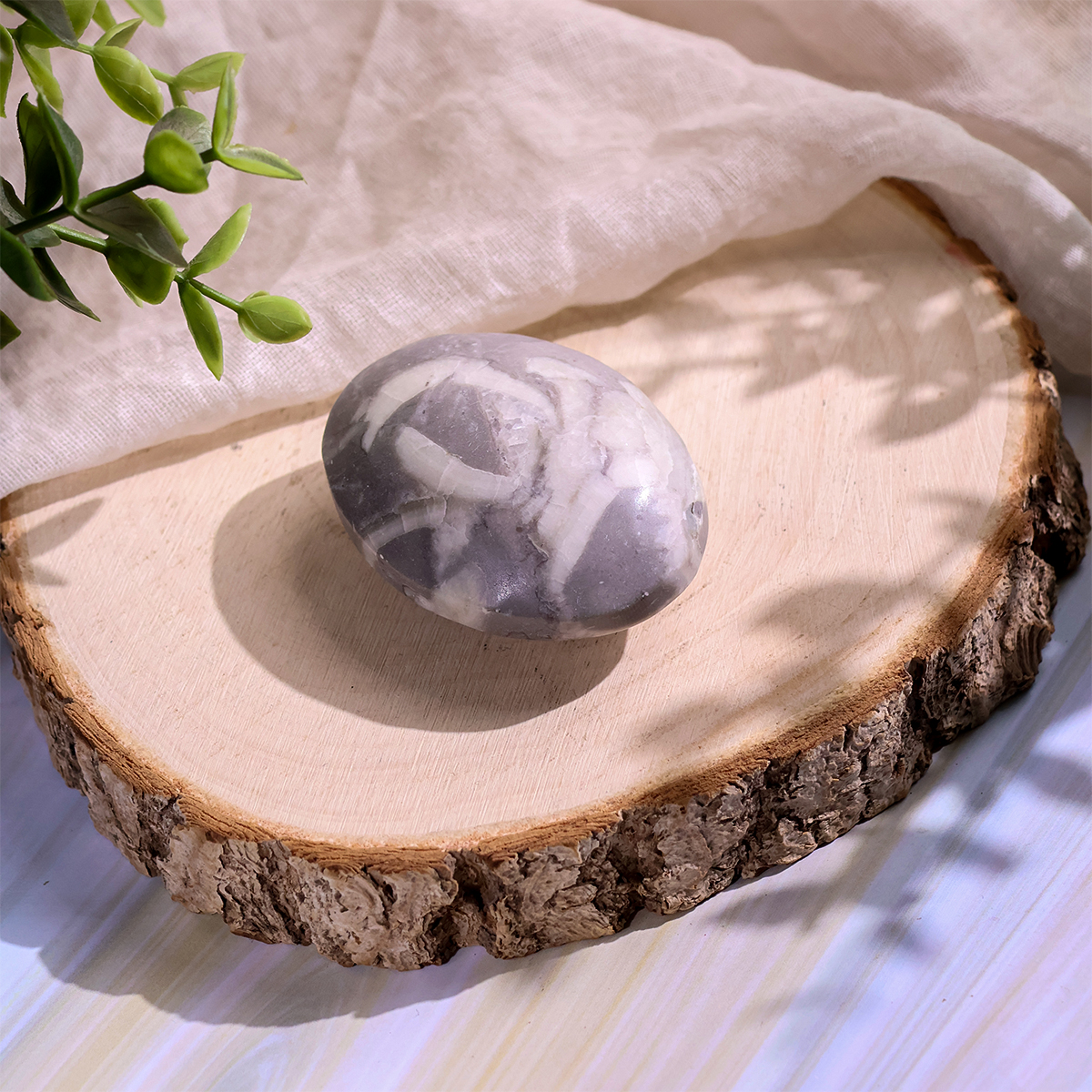 Shell Palm Stone (2) shell palm stone