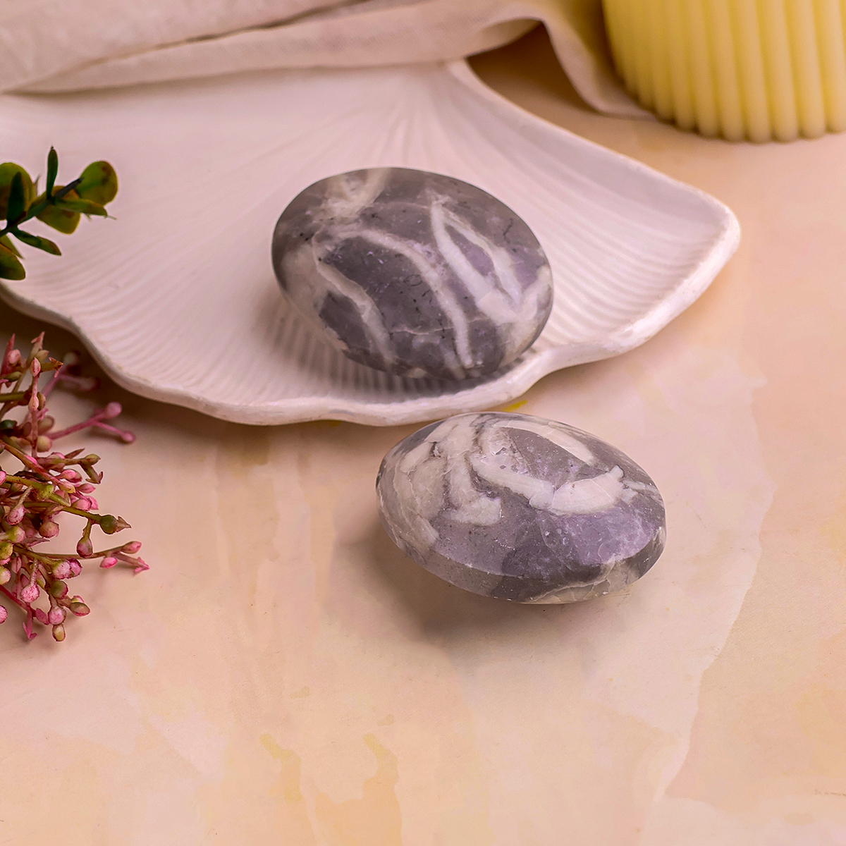 Shell Palm Stone (3) shell palm stone