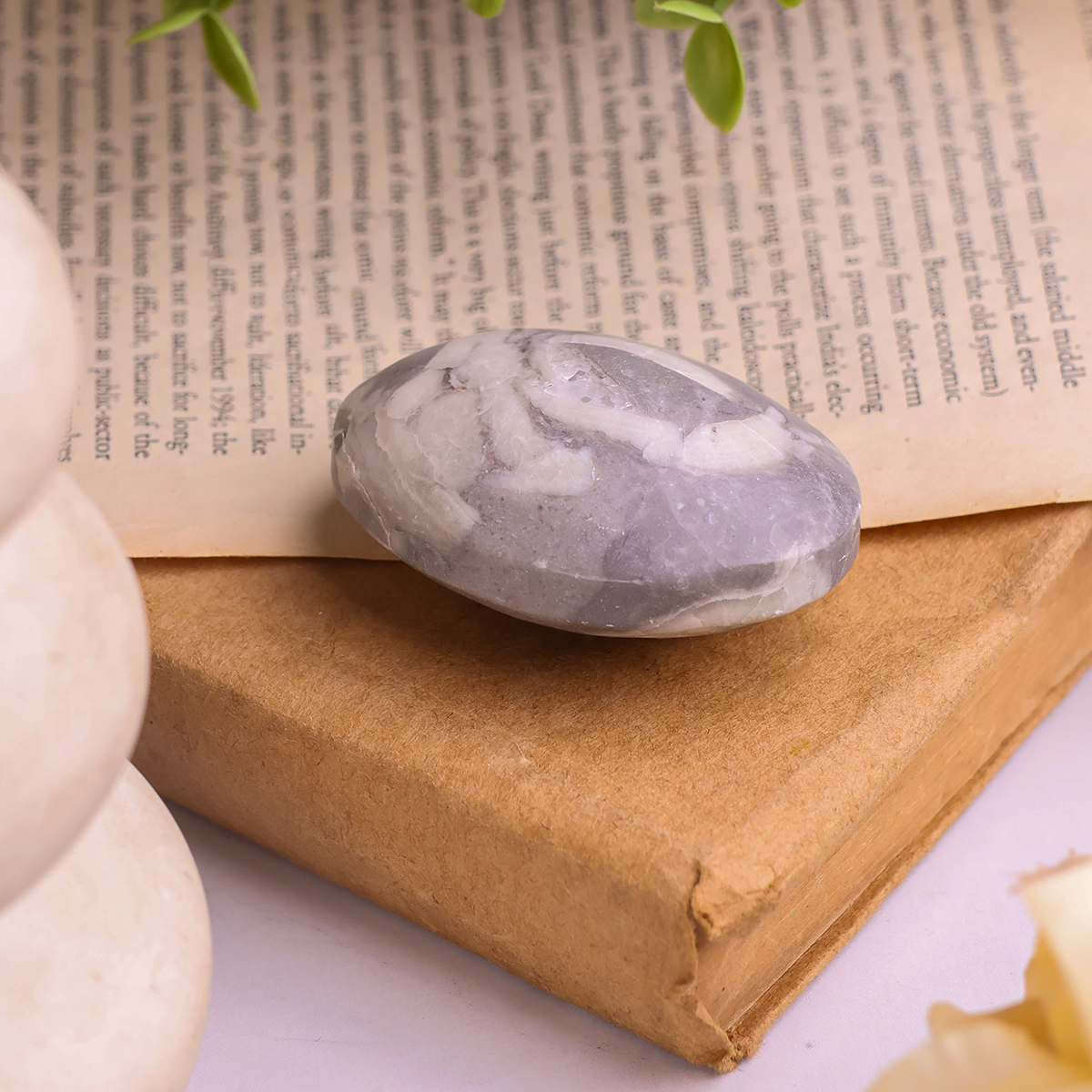 Shell Palm Stone (4) shell palm stone