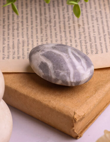 shell palm stone