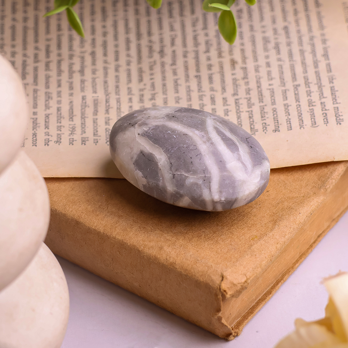 Shell Palm Stone (5) shell palm stone