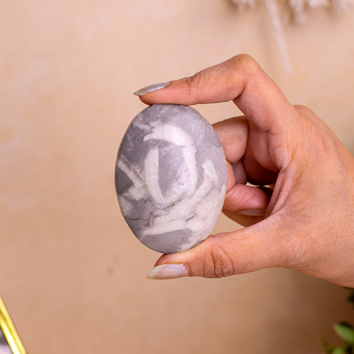 Shell Palm Stone (7) shell palm stone