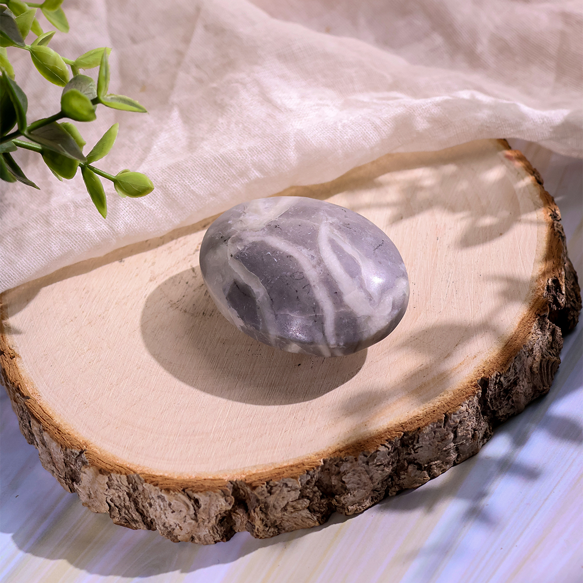 Shell Palm Stone shell palm stone