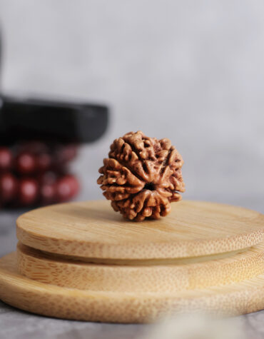 six face rudraksha