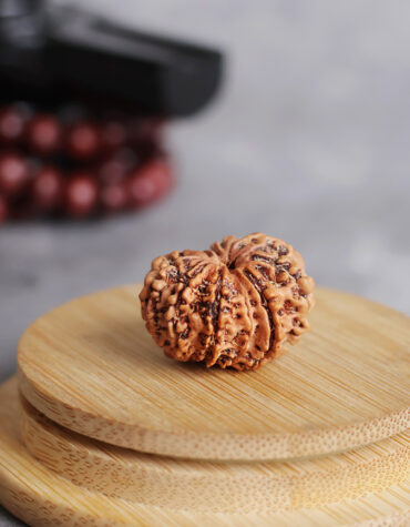 ten face rudraksha