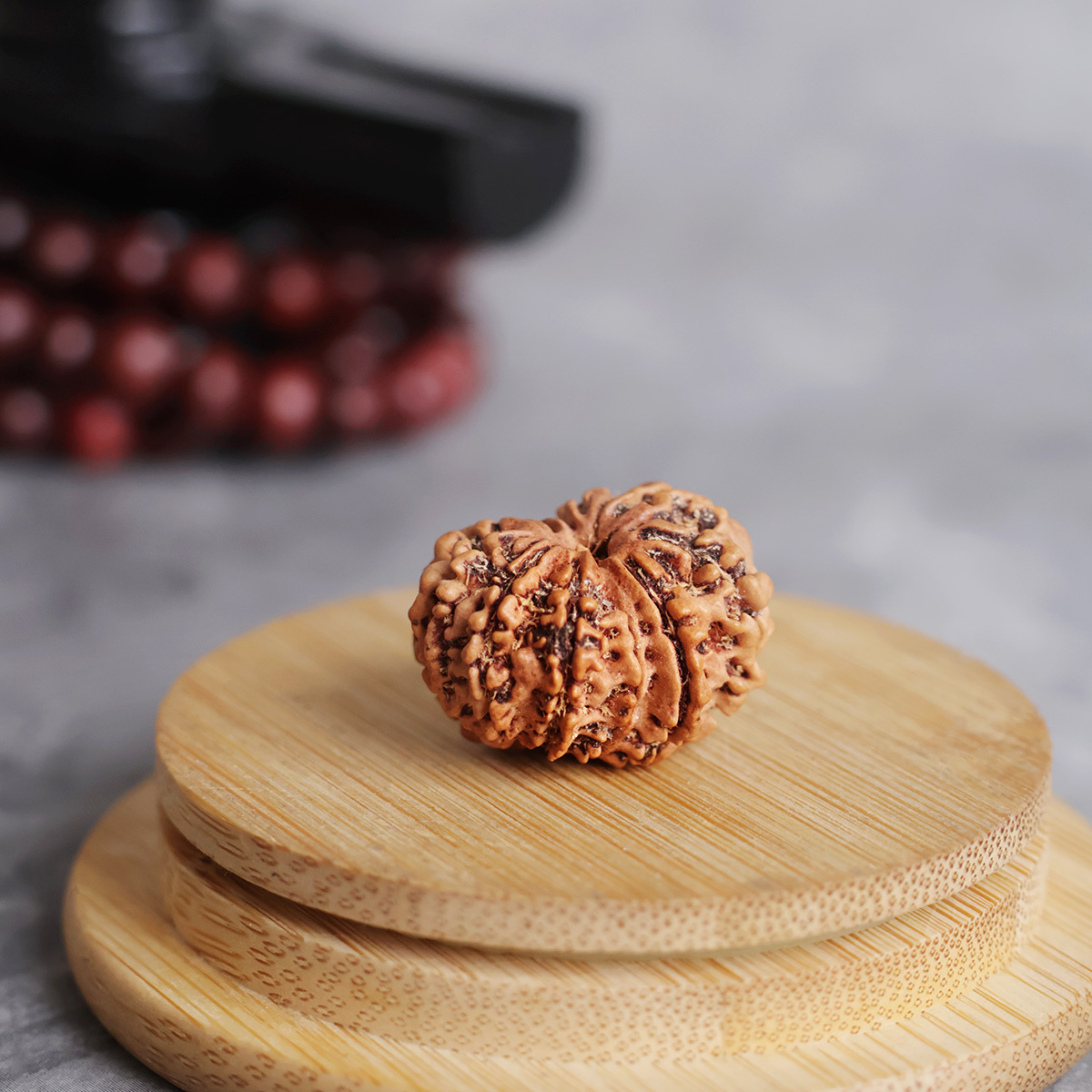 Ten Face Rudraksha-Shubhanjali Store (2) ten face rudraksha