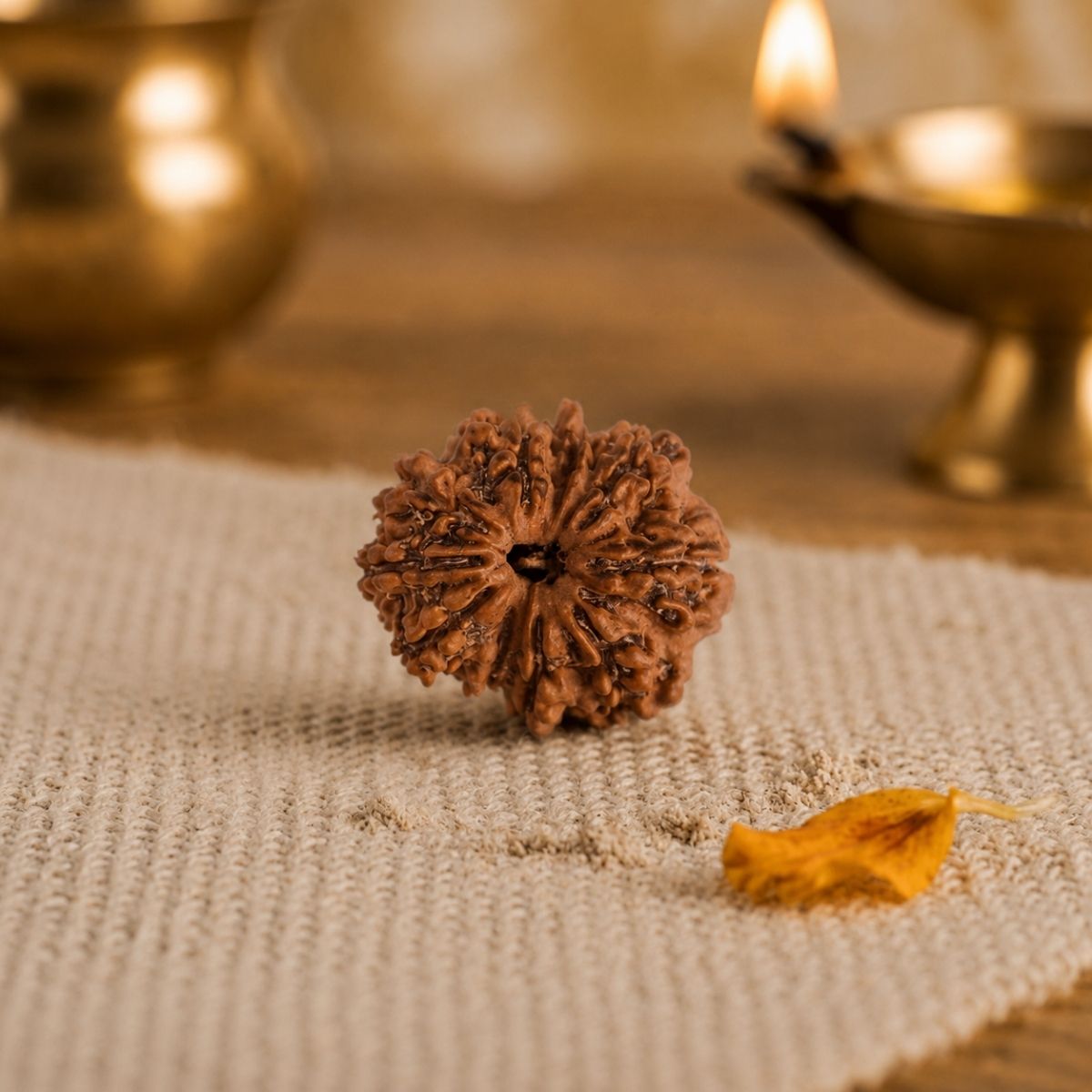 Ten Face Rudraksha-Shubhanjali Store (5) ten face rudraksha