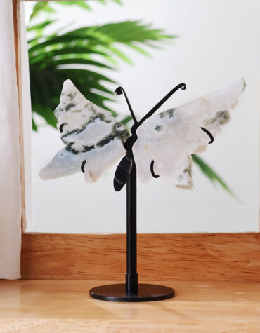 tree agate butterfly wing
