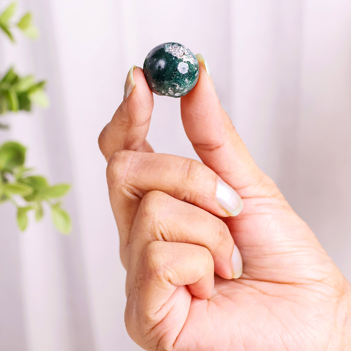 Tree Agate Mini Ball (4) tree agate mini sphere 10 20 gms