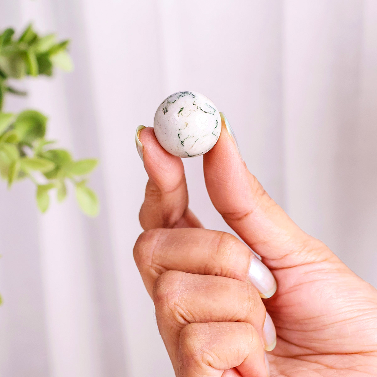 Tree Agate Mini Ball (5) tree agate mini sphere 10 20 gms