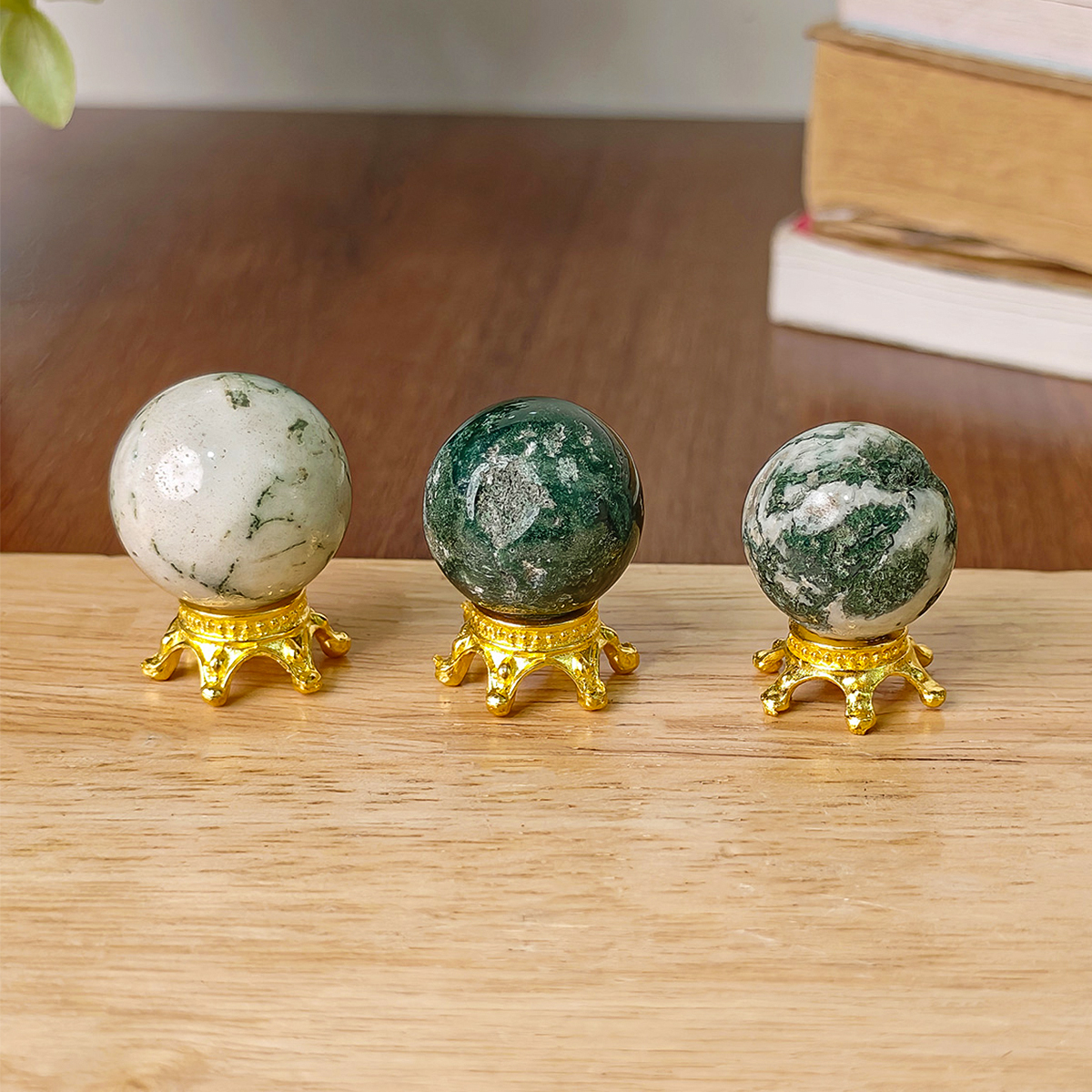Tree Agate Mini Ball (6) tree agate mini sphere 10 20 gms