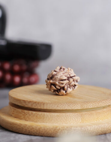 two face rudraksha