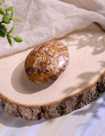van gogh jasper palm stone