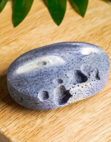 blue coral jade palm stone
