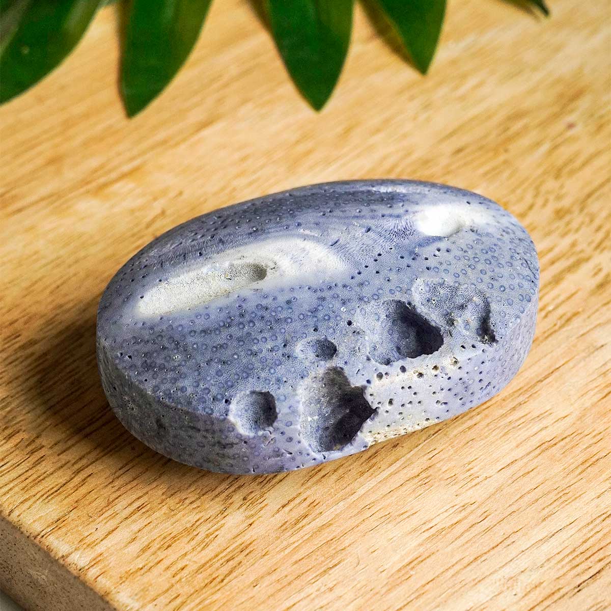 shubhanjalistore-blue-coral-jade-palm-stone-img-1 blue coral jade palm stone