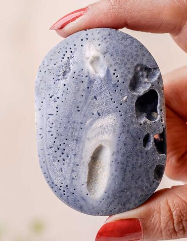 blue coral jade palm stone