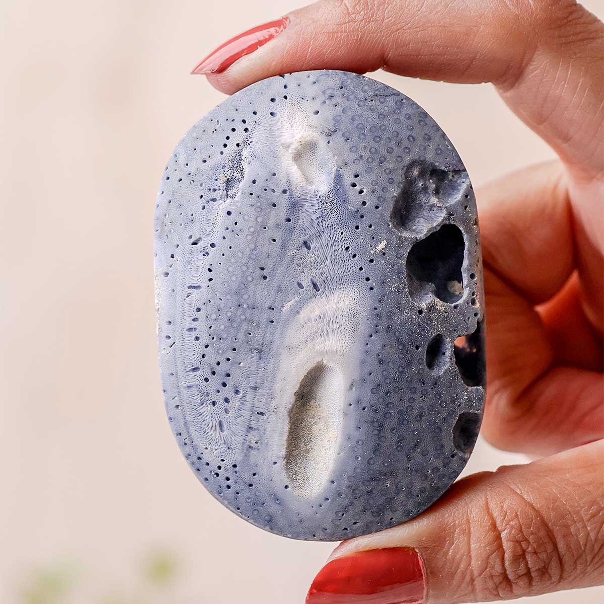 shubhanjalistore-blue-coral-jade-palm-stone-img-2 blue coral jade palm stone