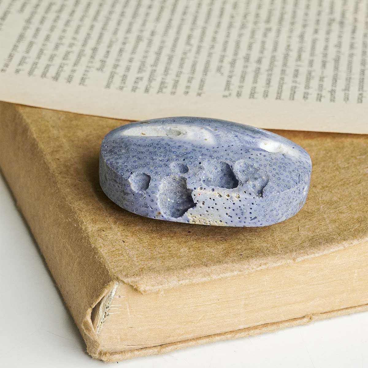 shubhanjalistore-blue-coral-jade-palm-stone-img-3 blue coral jade palm stone