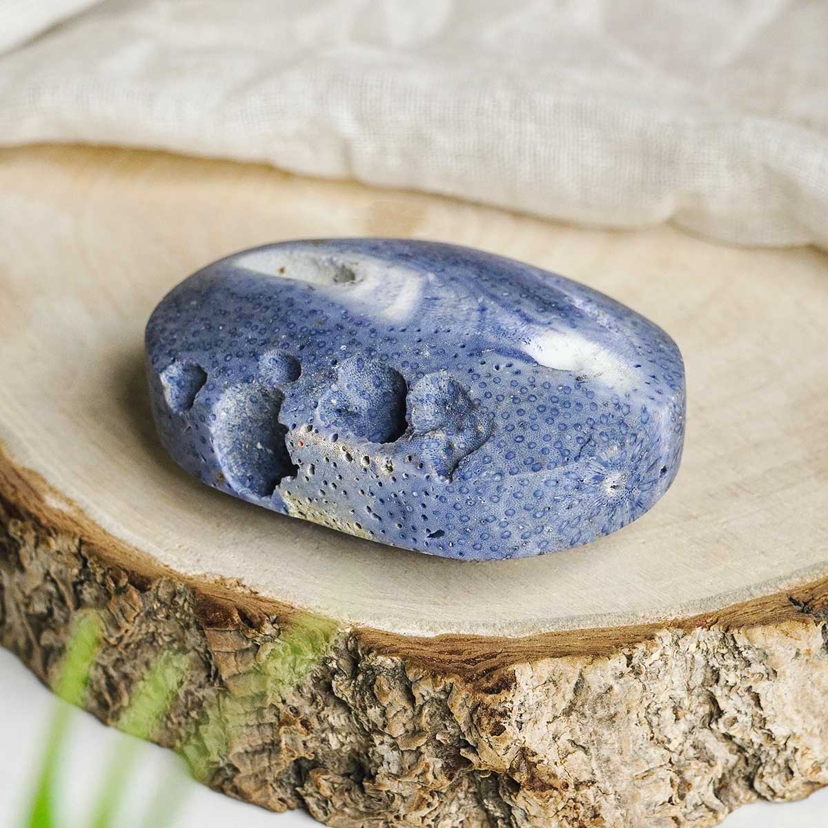 shubhanjalistore-blue-coral-jade-palm-stone-img-6 blue coral jade palm stone