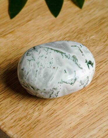 tree agate palm stone