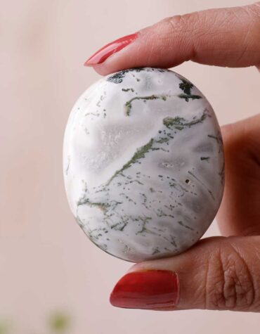 tree agate palm stone