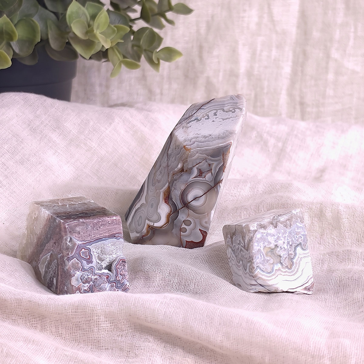 Crazy Lace Agate Free Form-Shubhanjali Store (3) crazy lace agate free form
