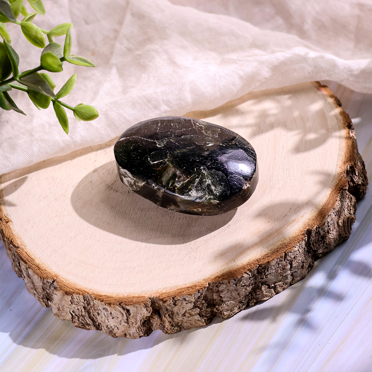 Green Mica Palm Stone (2) green mica palm stone