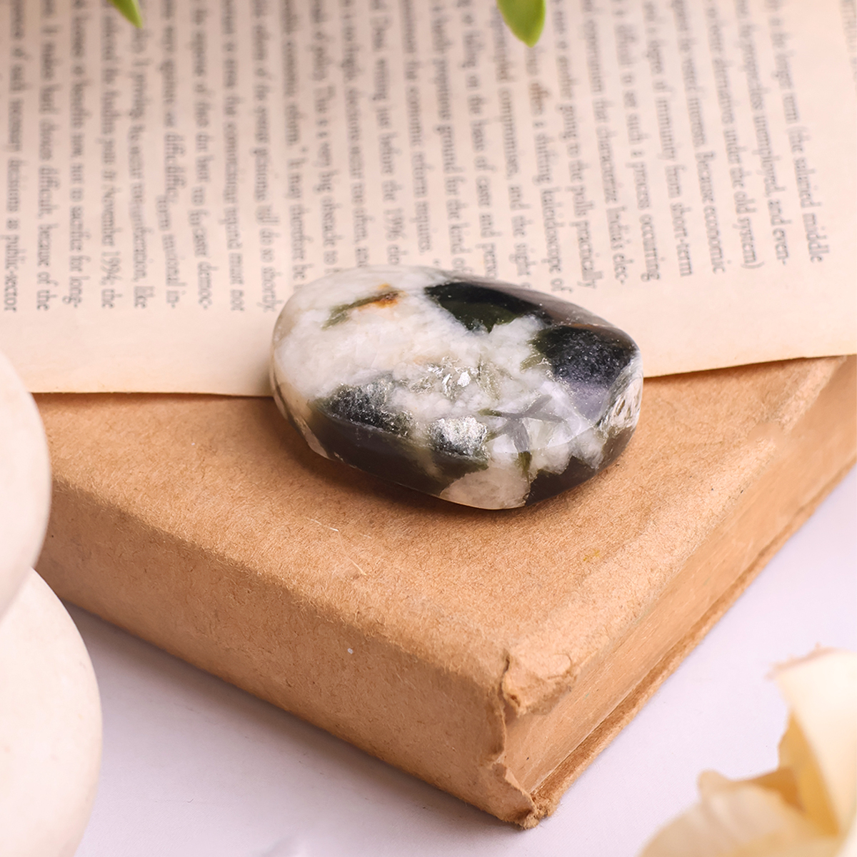 Green Mica Palm Stone (5) green mica palm stone